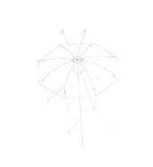 新型防雨伞实用新型专利